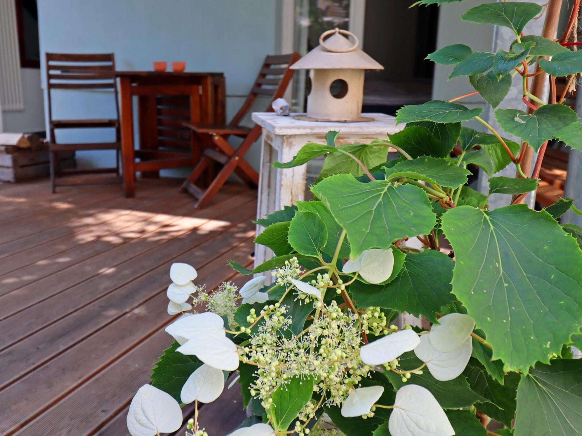 Modern Apartment With Garden In วิสมาร์ ภายนอก รูปภาพ